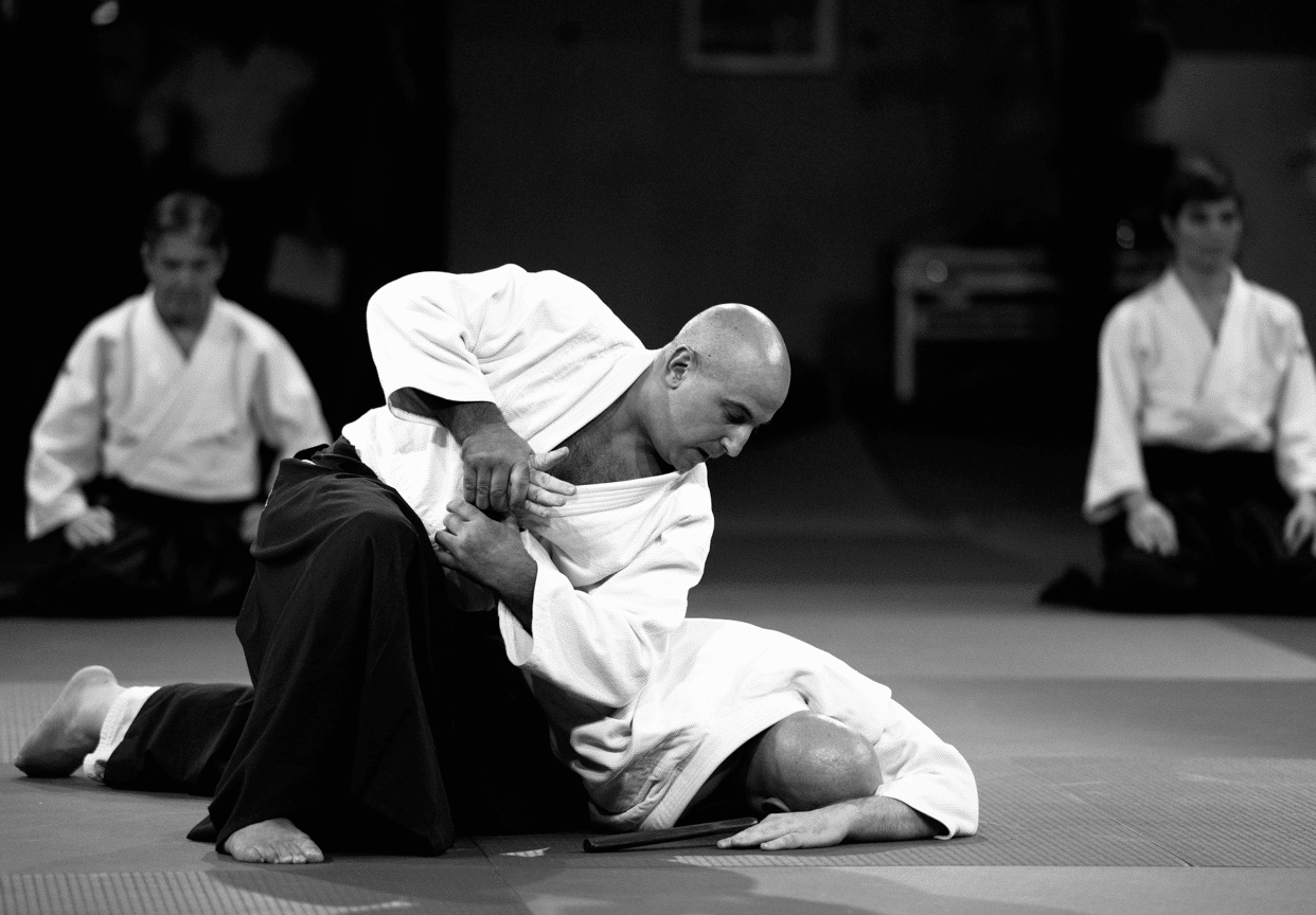 aikido